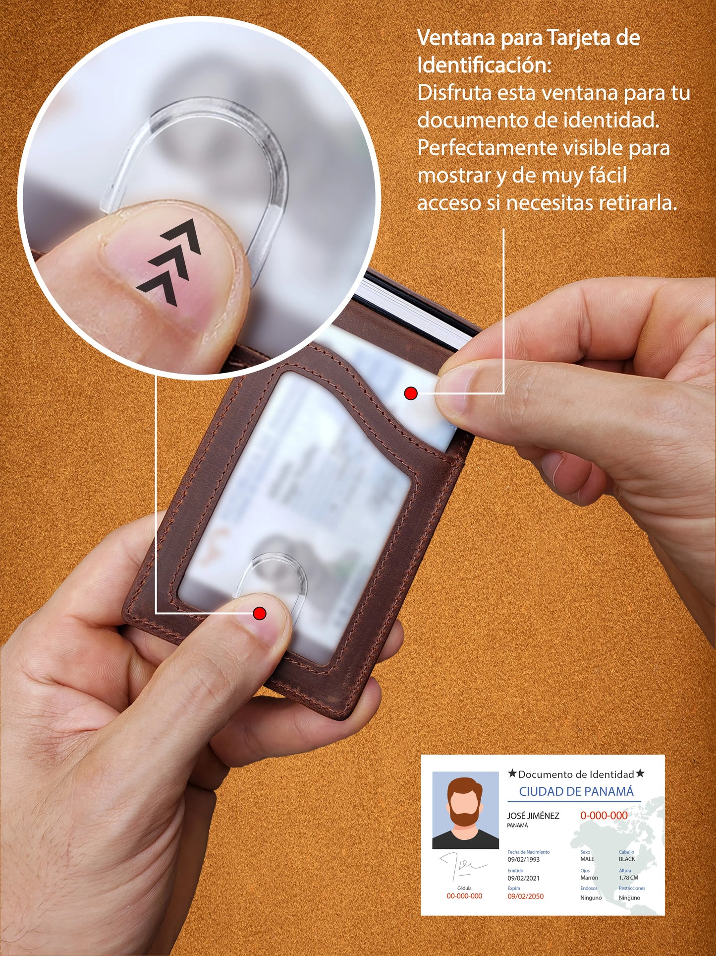 Billetera de Cuero Original - Avegat 03-M (Marrón Clásico)